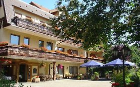 Ringhotel Garni Pflug  3*